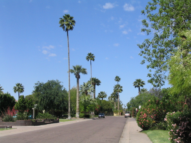 618x457 pixels (192K)